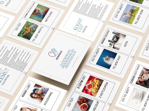 Ilustrowany przewodnik po przypadkach